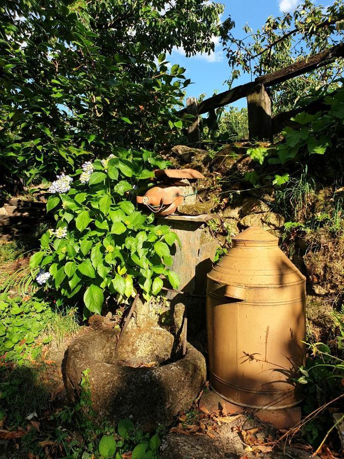Casas Rurales El Cerro Y El Cerezo Navaconcejo Kültér fotó