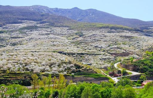 Casas Rurales El Cerro Y El Cerezo Navaconcejo Kültér fotó