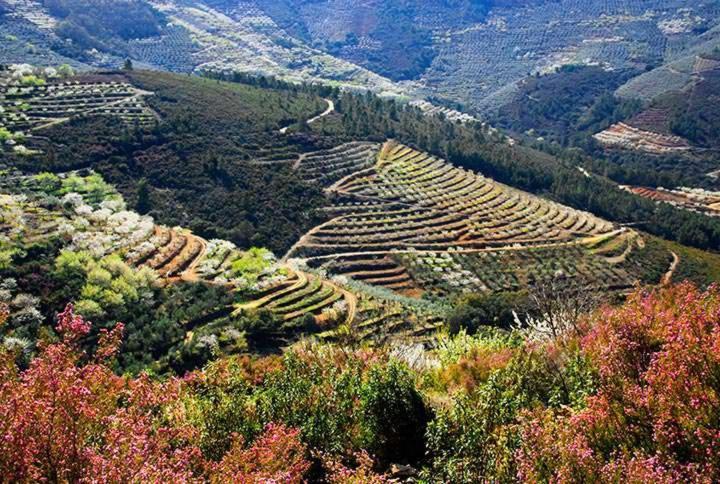 Casas Rurales El Cerro Y El Cerezo Navaconcejo Kültér fotó