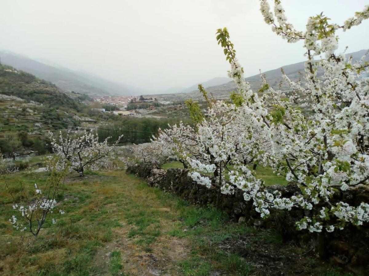 Casas Rurales El Cerro Y El Cerezo Navaconcejo Kültér fotó