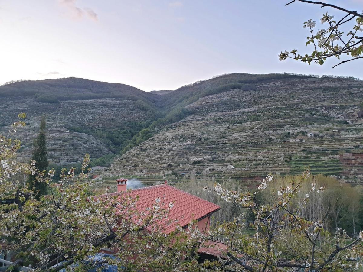Casas Rurales El Cerro Y El Cerezo Navaconcejo Kültér fotó