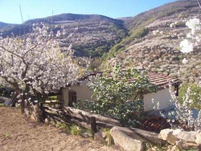 Casas Rurales El Cerro Y El Cerezo Navaconcejo Kültér fotó