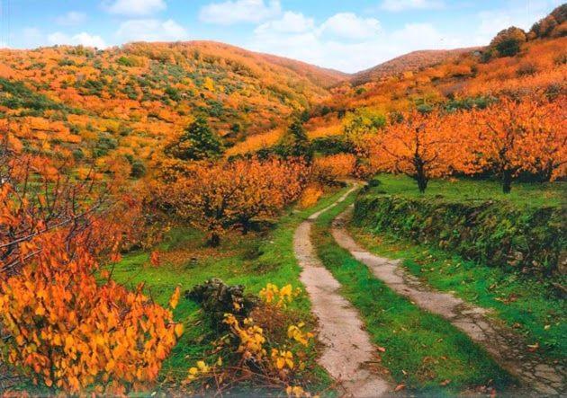 Casas Rurales El Cerro Y El Cerezo Navaconcejo Kültér fotó